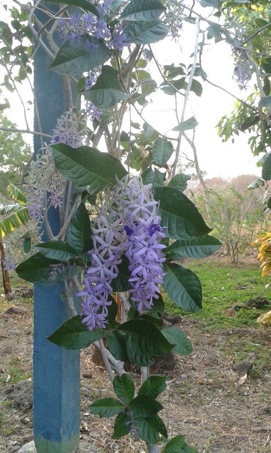 Finca Montania Sagrada Merida Bagian luar foto