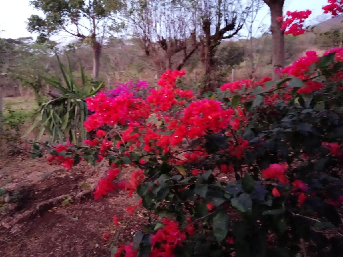 Finca Montania Sagrada Merida Bagian luar foto