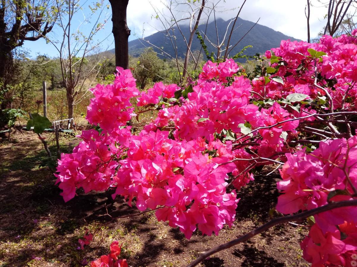 Finca Montania Sagrada Merida Bagian luar foto