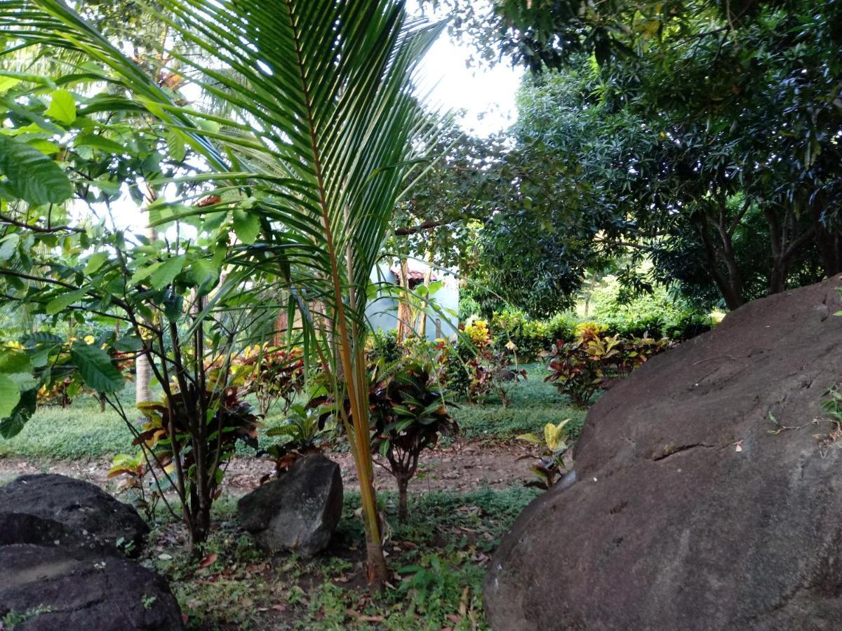 Finca Montania Sagrada Merida Bagian luar foto